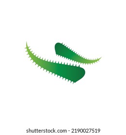 Aloe vera logo vector ilustration template