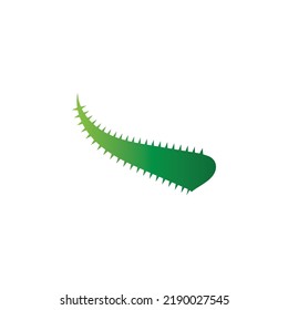 Plantilla de ilustración vectorial del logo de Aloe vera