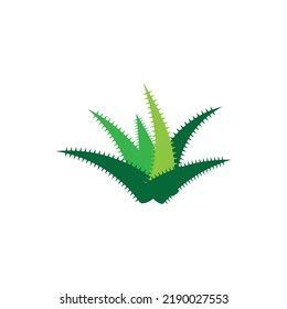 Aloe Vera Logo, Vektorgrafik-Vorlage