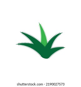 Plantilla de ilustración vectorial del logo de Aloe vera