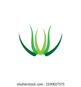 Aloe vera logo vector ilustration template