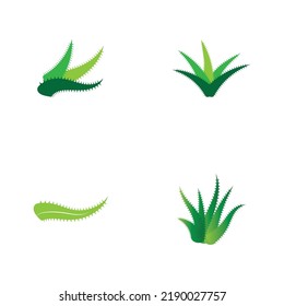 Aloe vera logo vector ilustration template