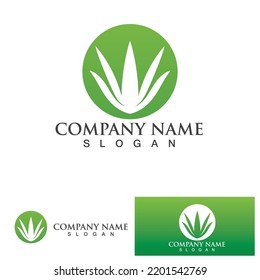 Aloe vera logo vector ilustration 