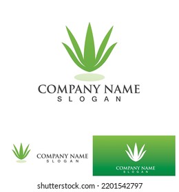 Aloe vera logo vector ilustration 