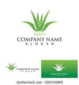 Ilustración vectorial del logo de Aloe vera 
