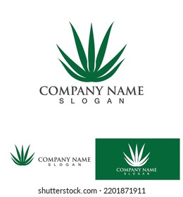 Ilustración vectorial del logo de Aloe vera 