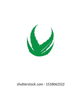Aloe vera logo vector template design