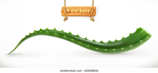 Aloe vera. Medicinal plant, 3d vector icon