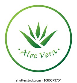 Aloe vera nature leaf icon , logo vector illustration.Vector beauty logotypes