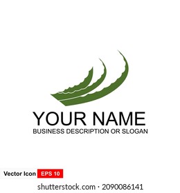 Aloe vera nature leaf icon , logo vector illustration