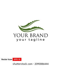 Aloe vera nature leaf icon , logo vector illustration