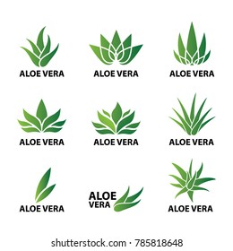 Aloe vera nature leaf icon , logo vector illustration