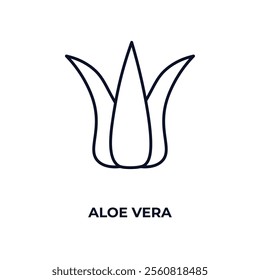aloe vera outline icon. Linear vector from beauty concept. Thin line aloe vera icon isolated on white background