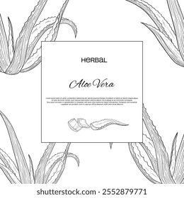 Aloe vera outlines botanic natural organic eco card template