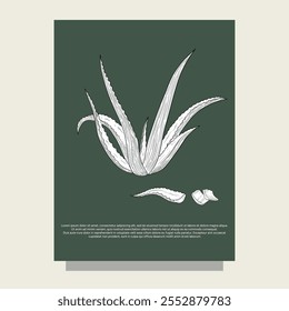 Aloe vera outlines botanic natural organic eco card template
