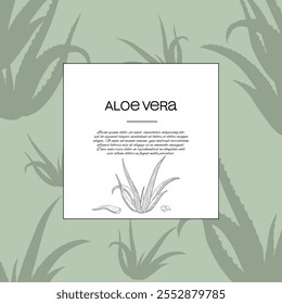 Aloe vera descreve o modelo de cartão ecológico orgânico natural botânico