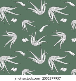Aloe vera outlines botanic natural organic eco pattern