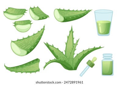 Aloe-Vera-Pflanze mit fließender grüner Aloe-Saft-Vektorillustration auf weißem Hintergrund