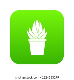 Aloe vera plant icon digital green for any design isolated on white vector illustration