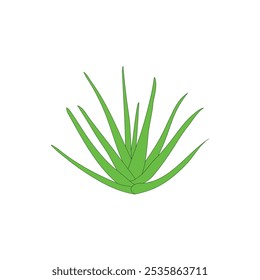 aloe vera plant icon illustration element