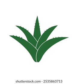 Elemento de ilustración de icono de planta de aloe vera