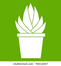 Aloe vera plant icon white isolated on green background. Vector illustration