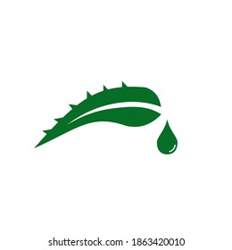 Aloe vera plant logo design vector template