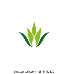 Aloe vera plant logo icon design vector template for beauty salon
