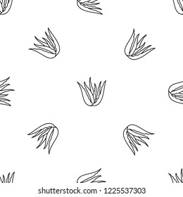 Aloe vera plant pattern seamless vector repeat geometric for any web design
