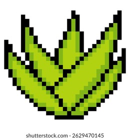 Aloe vera plant with pixel art isolated on white background