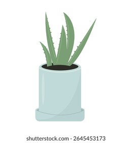 Aloe vera plant in pot. Indoor potted plants. Houseplants for interior home decoration, green plant in flower pot. Vector illustration, flat style.