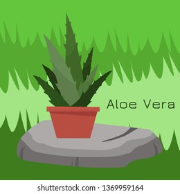 Aloe vera plant in a pot on a stone on a green lawn. Flat vector illustration.