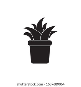 Aloe vera plant in pot vector icon