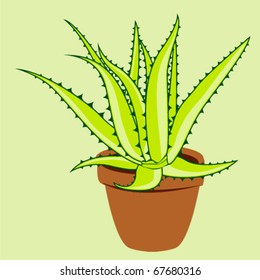 Aloe Vera Plant in the Pot Vector