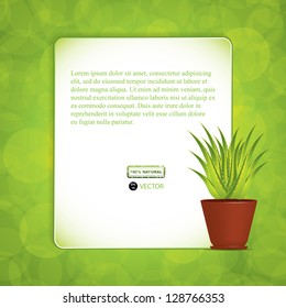 Aloe Vera plant in pot.Vector