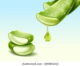 Aloe Vera plant with its section in 3d illustration