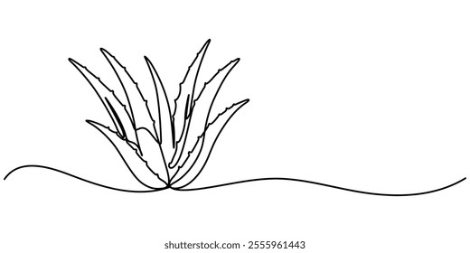 Aloe vera plant sketch, simple vector illustration, background, label design. One continuous line drawing art illustration with lettering organic aloe vera, Single continuous line drawing of healthy. 