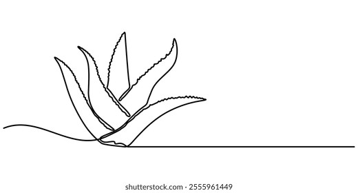 Aloe vera plant sketch, simple vector illustration, background, label design. One continuous line drawing art illustration with lettering organic aloe vera, Single continuous line drawing of healthy. 