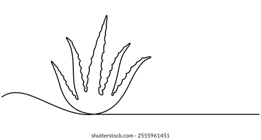 Aloe vera plant sketch, simple vector illustration, background, label design. One continuous line drawing art illustration with lettering organic aloe vera, Single continuous line drawing of healthy. 