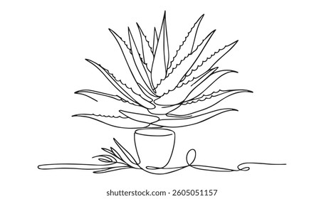 Aloe vera plant sketch, simple vector illustration, background, label design. One continuous line drawing art illustration with lettering organic aloe vera, Single continuous line drawing of healthy.