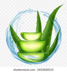 Aloe Vera Pflanze mit Saft- oder Wasserspritzer, isoliert auf transparentem Hintergrund. Illustration der Vektorgrafik