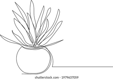 Aloe vera plant in vase, continuous one line drawing. Minimalist art. Vector illustration.