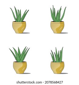 Aloe vera plant vector flat illustration. combined with modern colors