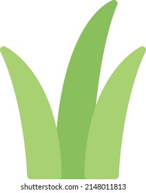 aloe vera plant Vector illustration on a transparent background.Premium quality symmbols.Stroke vector   icon for concept and graphic design.