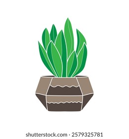 Aloe Vera Plant Vector Illustration. Green Succulent with Thick Leaves, Herbal Medicine, Natural Skincare, Beauty, Healing Plant, Houseplant, Isolated Clipart, Tropical Foliage Art. Aloe vera design.