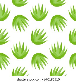 Aloe vera plant vector seamless pattern, Flat design of medicine, nature, cosmetology and healthcare isolated on the white background, vector illustration with swatch