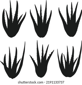 Aloe Vera plants various shapes side view medicinal plant isolated Vector Silhouettes