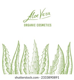 Aloe vera poster or banner. Sketch of Plant and bunch. Ingredient for herbal medicine or cosmetics. Hand drawn Vintage ink sketch. Products for label, advertesment, typography or banner, poster 