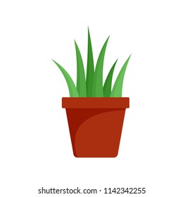 Aloe vera in pot icon. Flat illustration of aloe vera in pot vector icon for web isolated on white