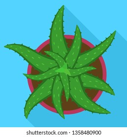 Aloe vera pot icon. Flat illustration of aloe vera pot vector icon for web design